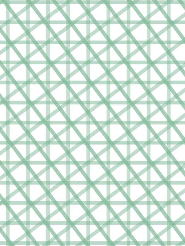 6423 mono vert medium