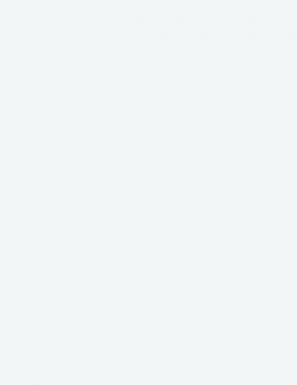 Blanc masse RAL 9016