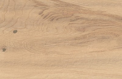 AtlasConcorde_LOG_BrightOakForest_Macro