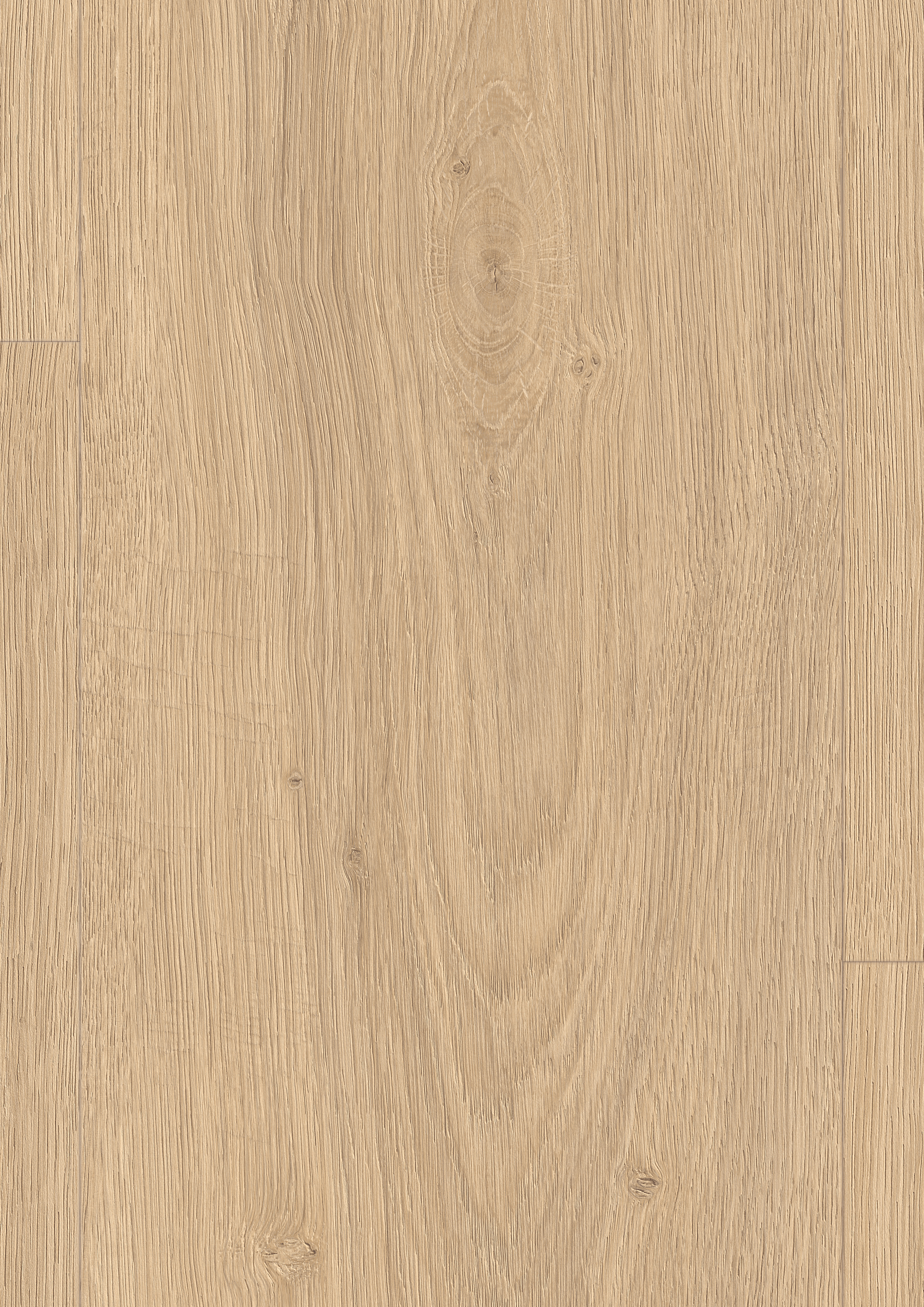 EDF199_STD8_large_wv4_detail_10DE_flo