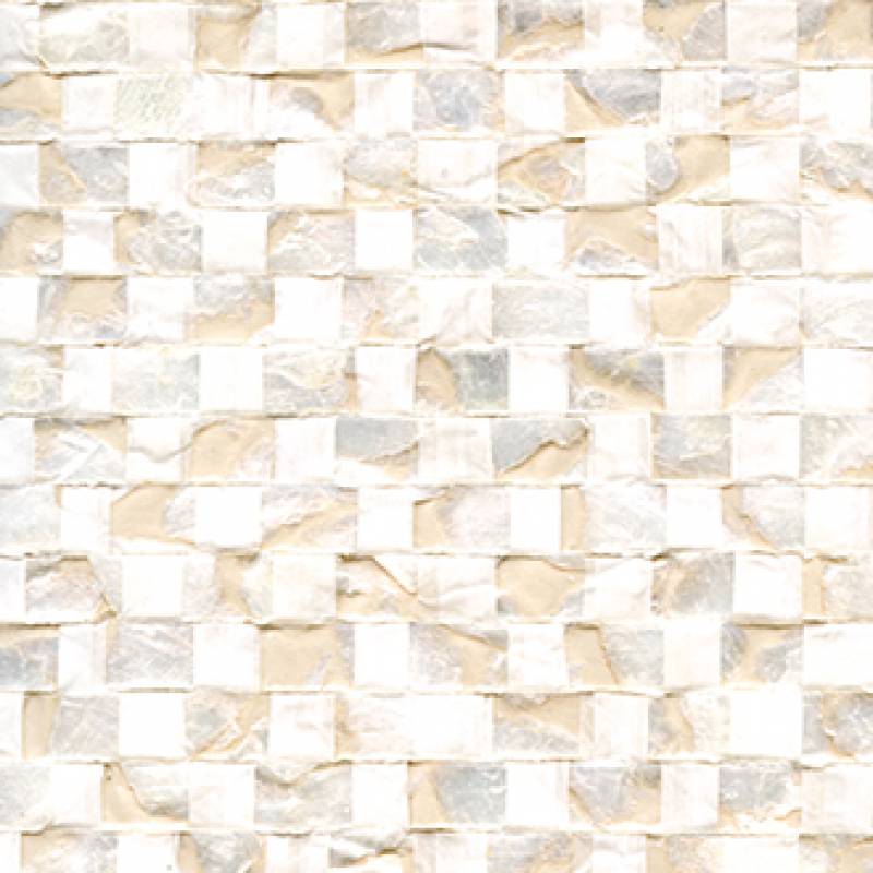 Nacre Vichy RM 675 01