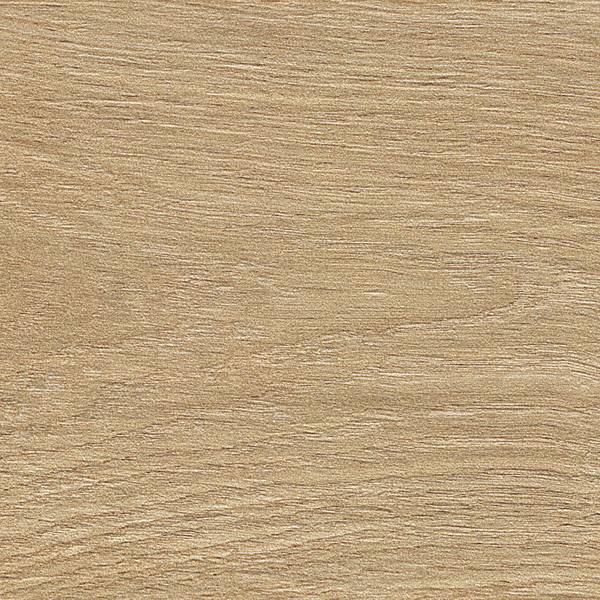 fap_roots_2021_honey_R9_20X120_fPVZ_05_hr-thumbnail-600x600-70