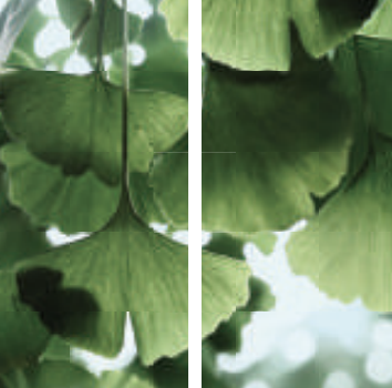 Capture d’écran 2025-08-29 à 09.40.00