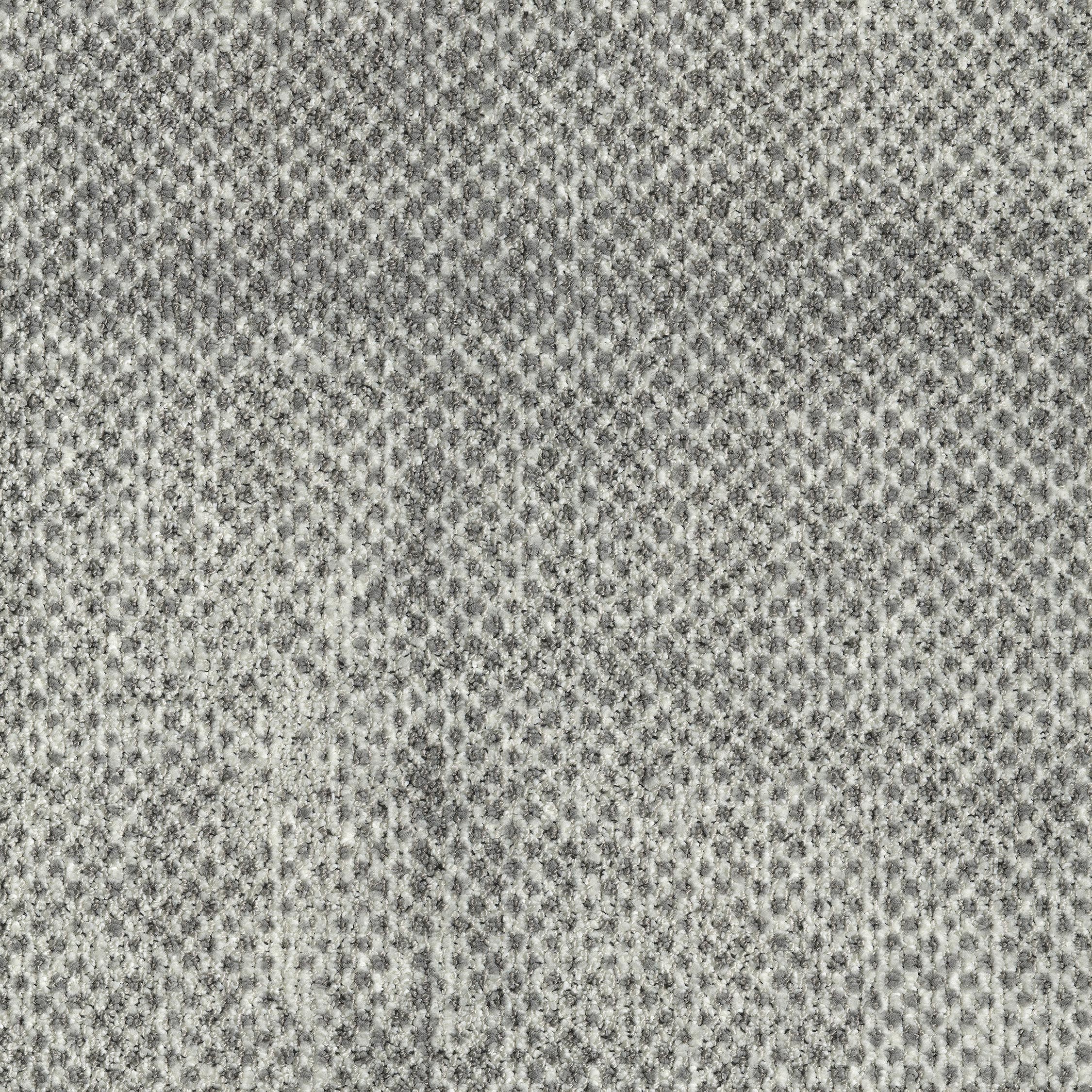 0865011 - Seed Grey 5520