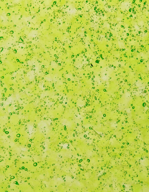 Translucent Neon Green
#PS1306