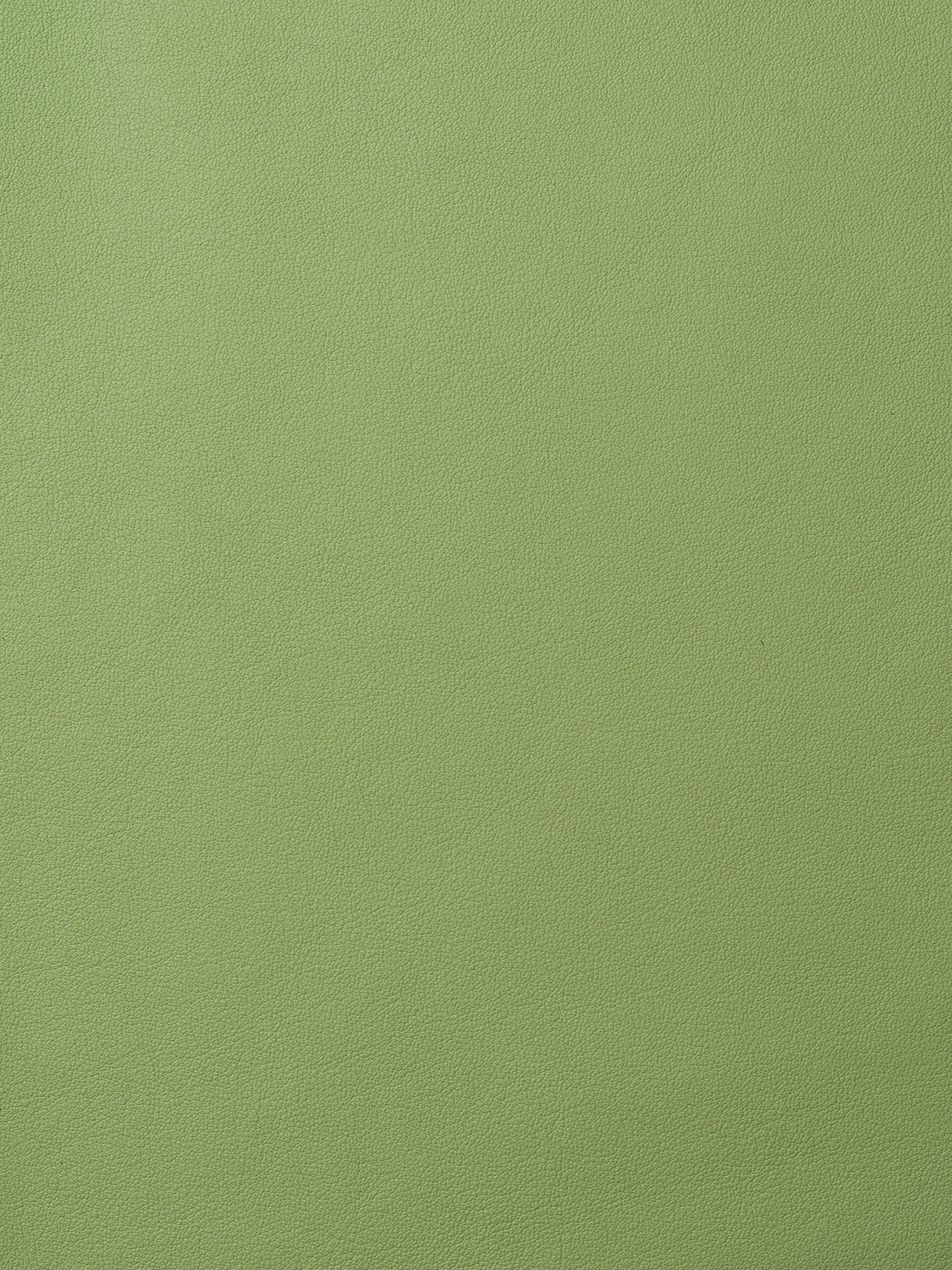 ELMOLEATHER_ELMOSOFT_08039