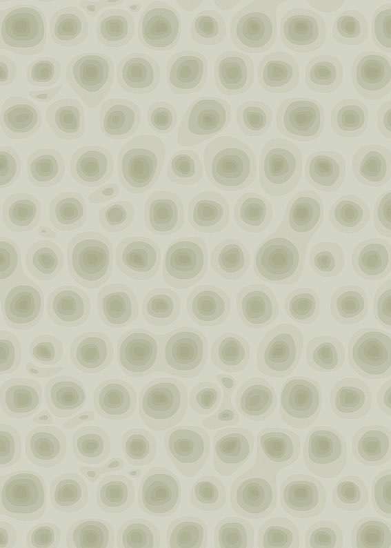 6322 octopus agavematteo ragni