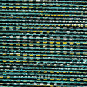 Osmanthus_Geloma_54564_Packshot_Web_LR-thumb-square