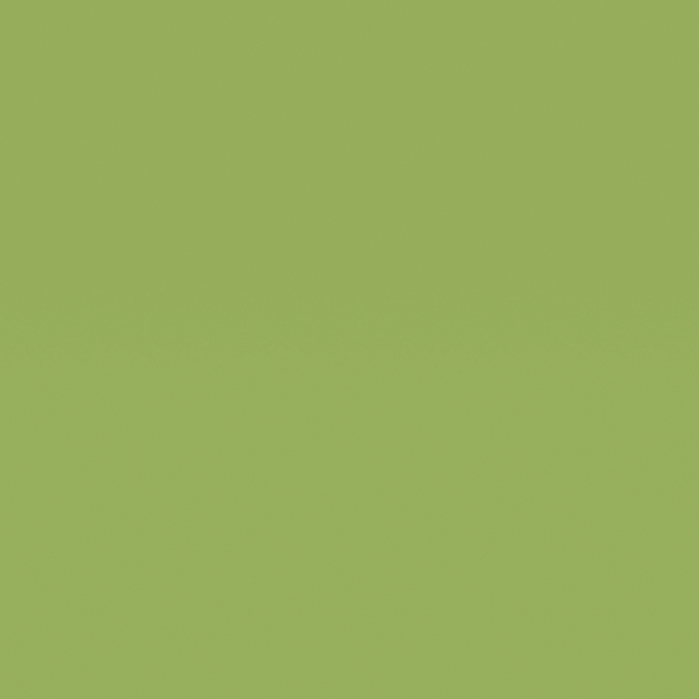 8259 - Magnetic Board Apple Green Matt (chalk)