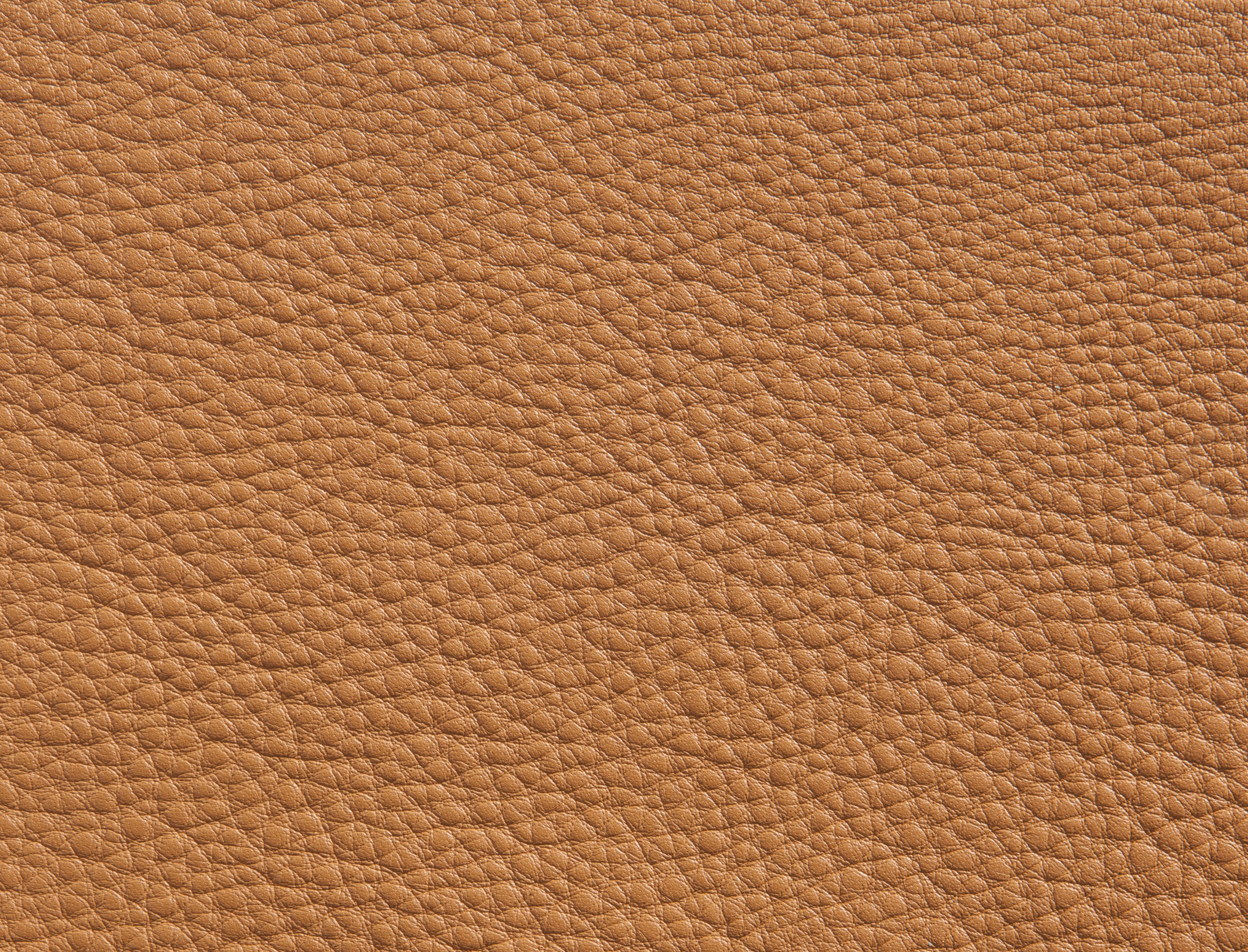 ElmorusticalVIII_43236