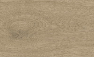 AtlasConcorde_Entice_Macro_AshOakNatural_Matte