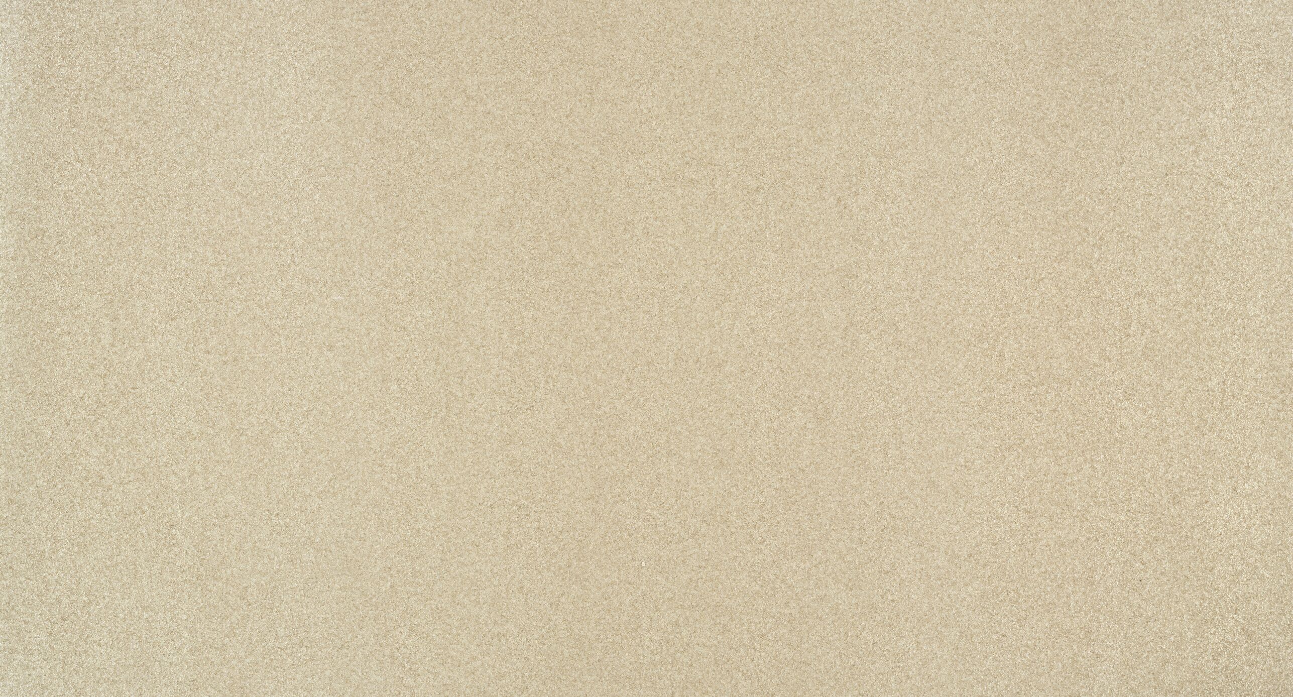 0064 METALLICA Sudri