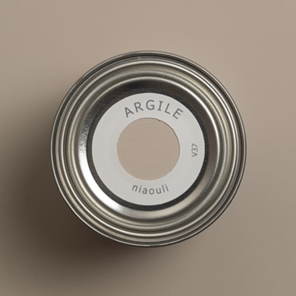 argile_peinture-tmvv37-teinte-niaouli-600_600