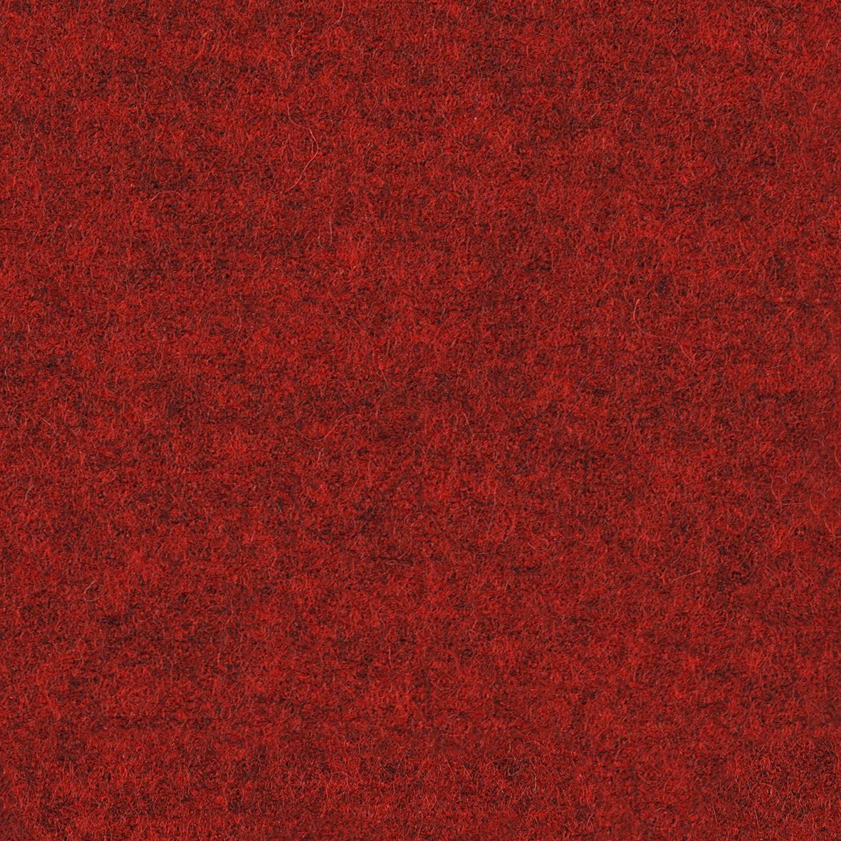 focus_melange_screen_64442