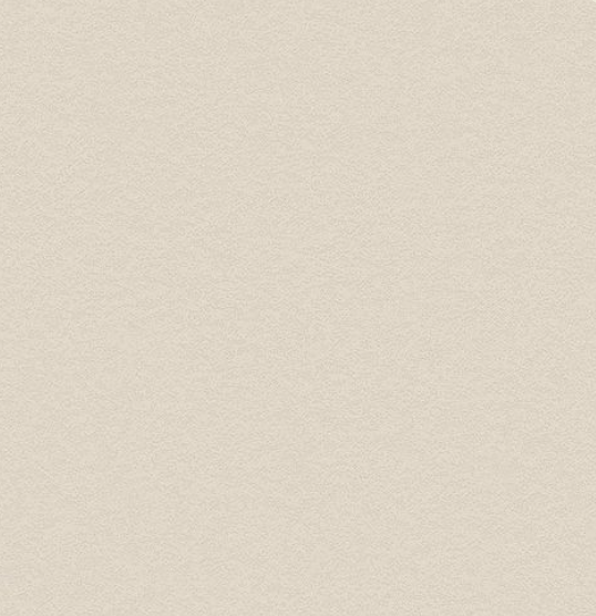 NH49 Snowflake Stucco