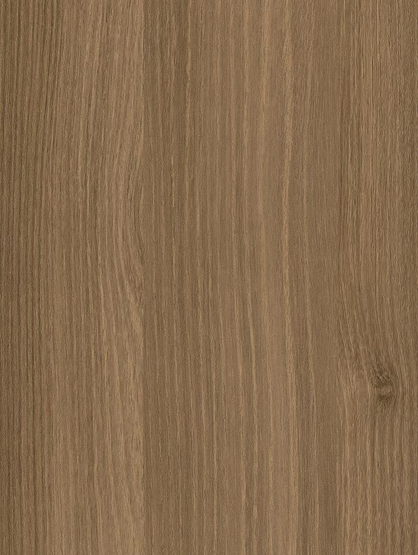 CT88 - Brown Acacia