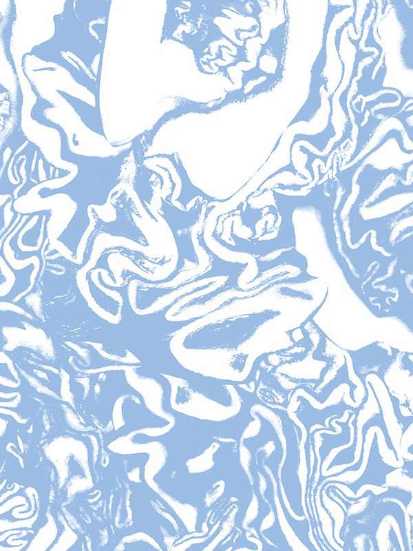 6266 cabbage 03 light bluearthur arbesser