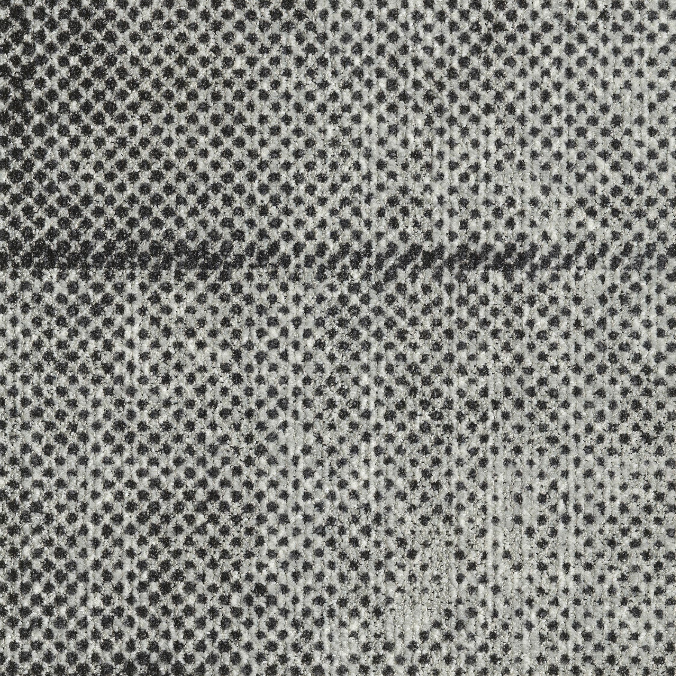 0865012 - Seed Grey Dark 5520