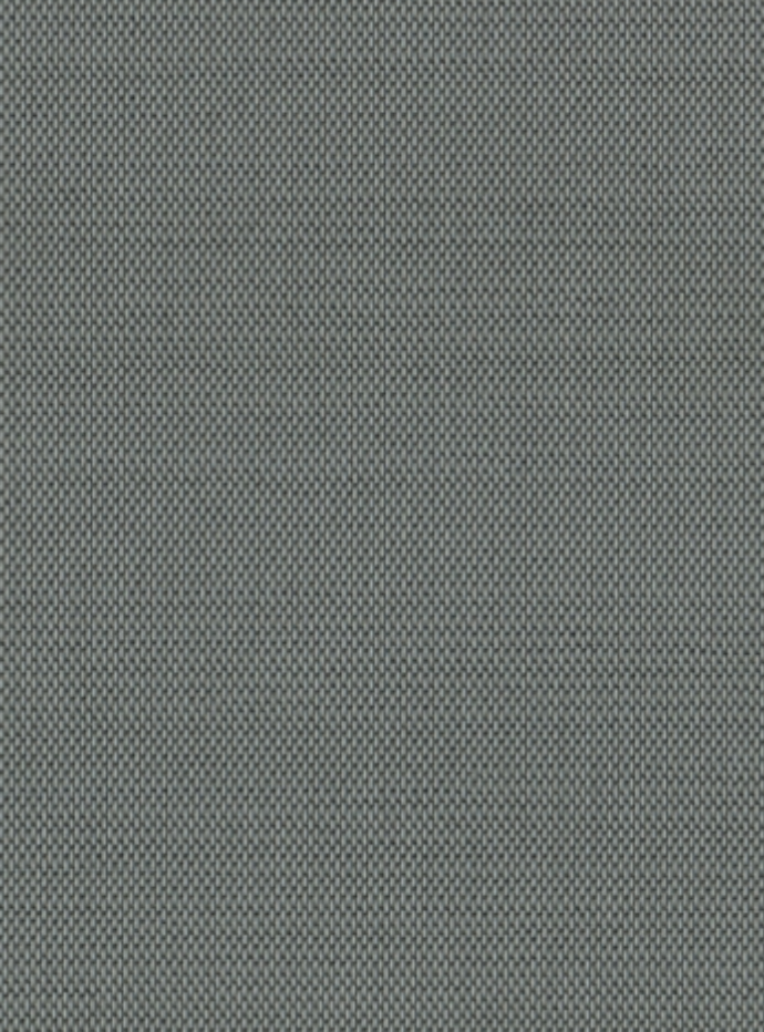 Eléphant-7653-50943