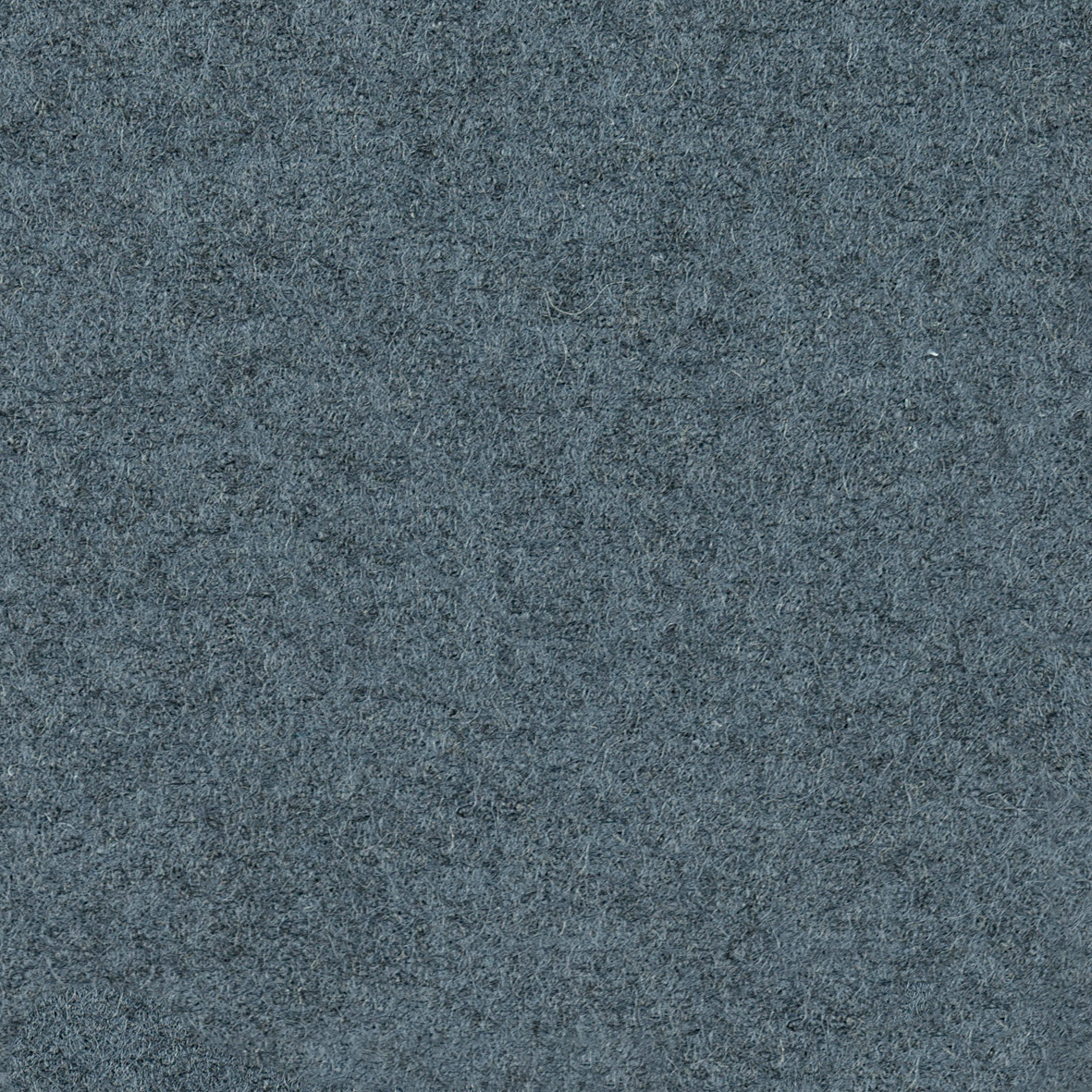 focus_melange_screen_66441