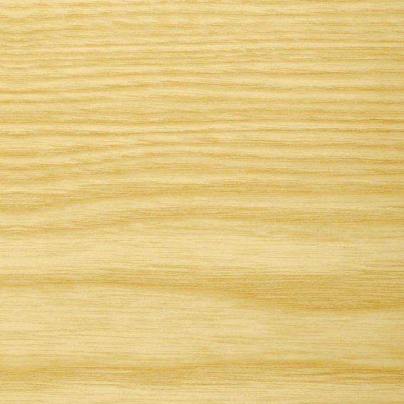 frêne-e1570182028381