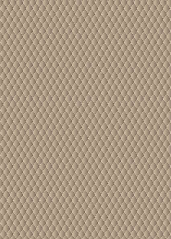 6328 shark sandmatteo ragni