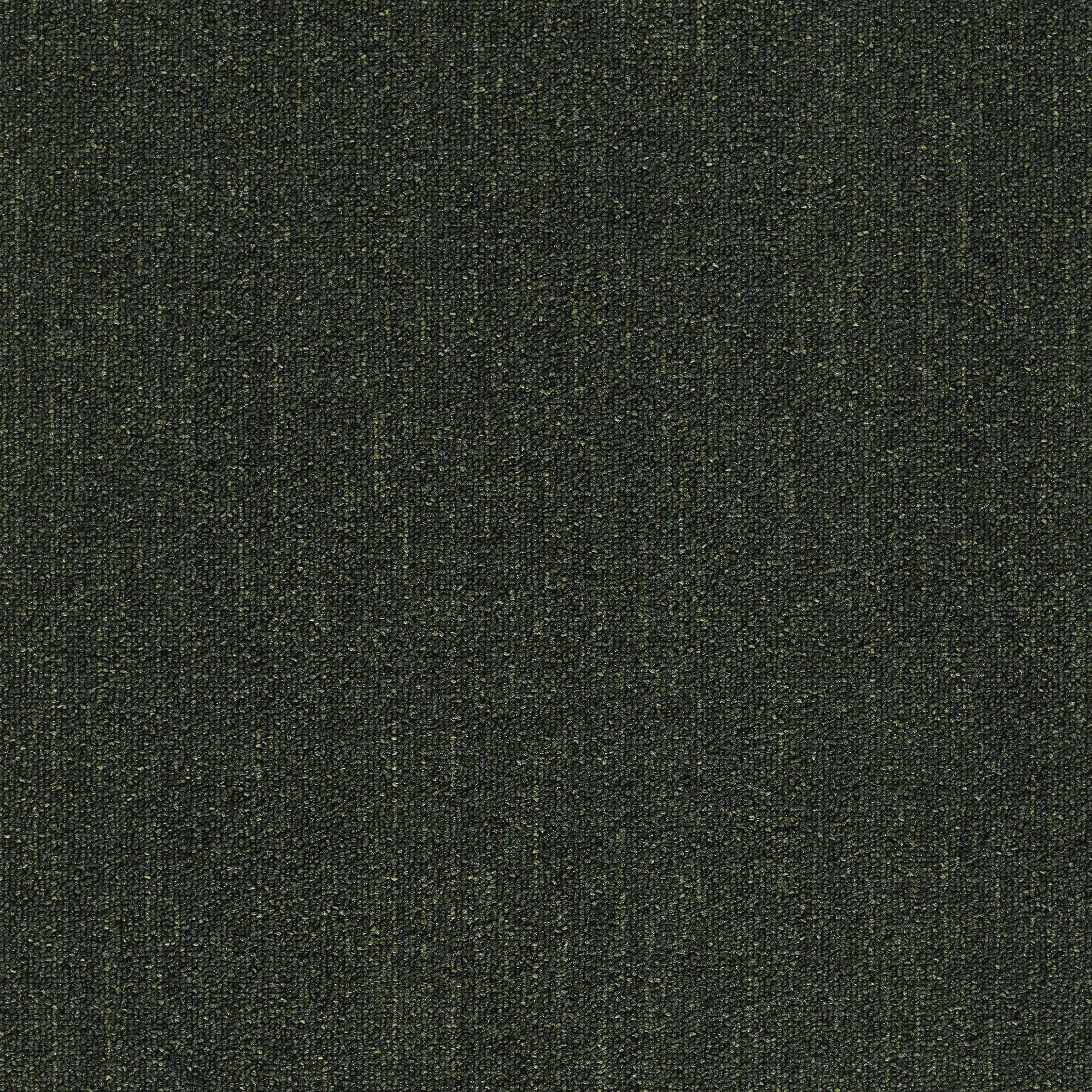0800375 - Dark Grass