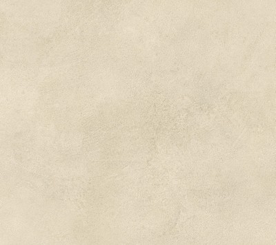 AtlasConcorde_BoostExpression_Macro_Camel_Matt