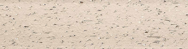 TCN_ARRACHEE_109-Silver