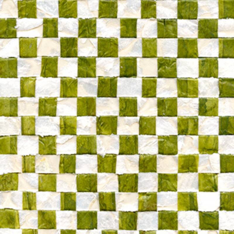 Nacre Vichy RM 675 67