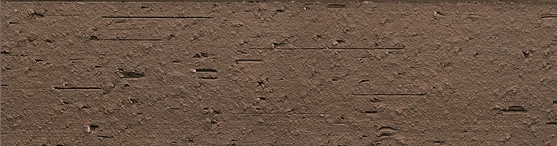 TCN_ARRACHEE_108-Reglisse