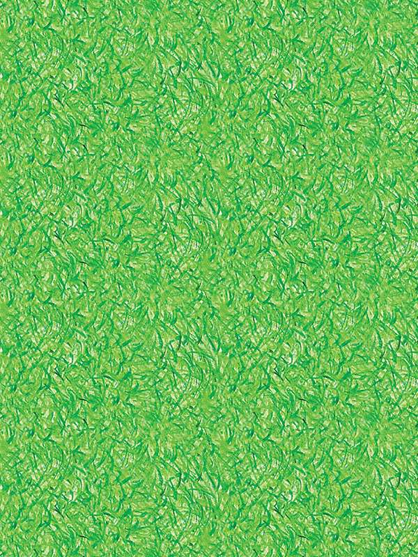 5746 derby greengiulio iacchetti