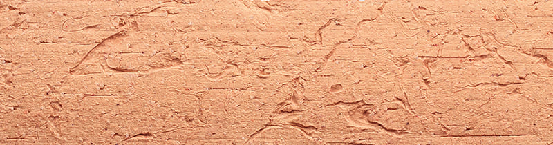 TCN_ECORCE_105-Montlouis