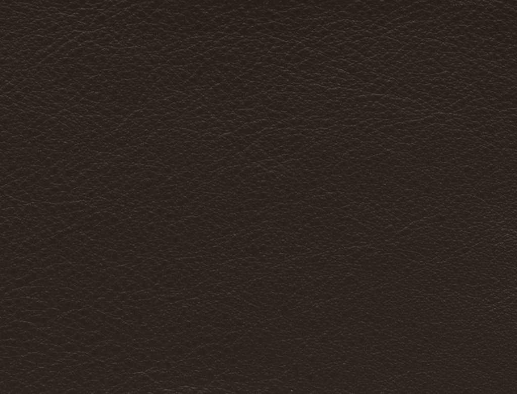 ElmosoftIX_98087-1024x781-1