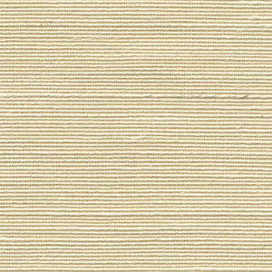 Boutique_Agave_90533_Packshot_Web_LR-thumb-square