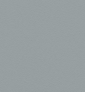 Gris Argenté Sablé/Fine Structure (RAL7011)