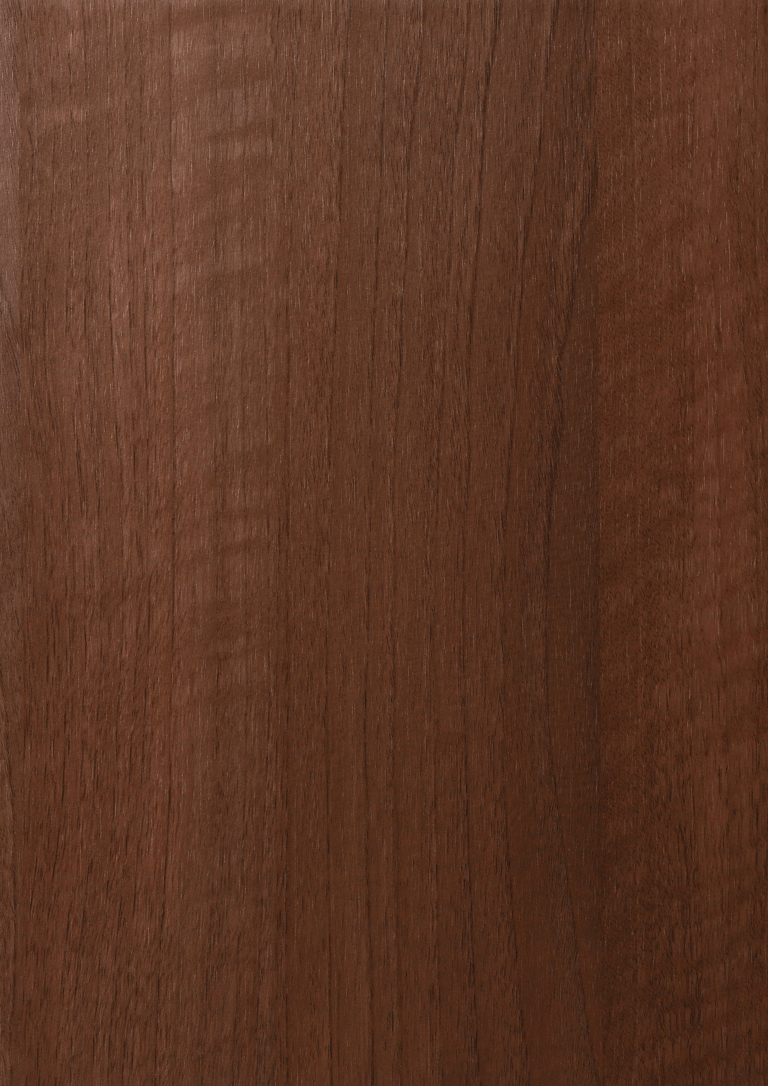 Siena Rosso (bois naturel)