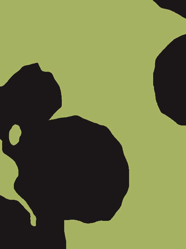 2826 fiore poppaola navone