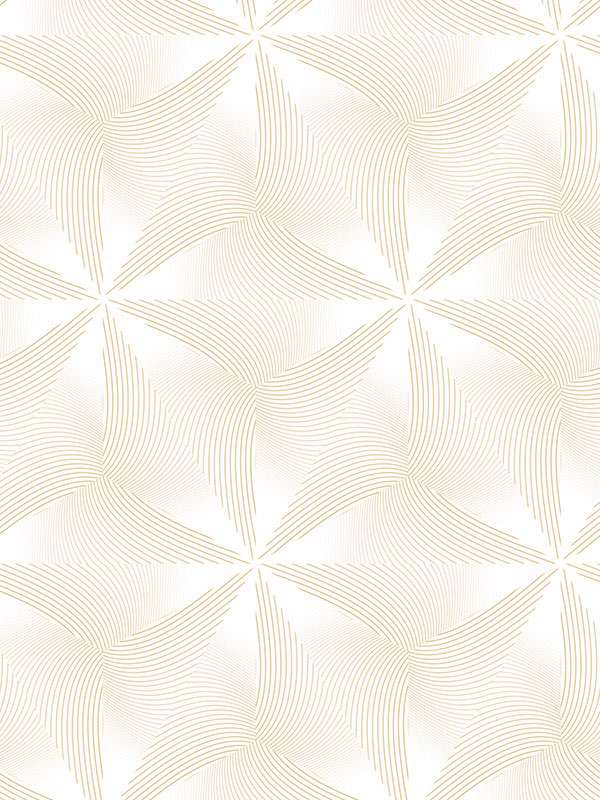 5798 snow hazekarim rashid