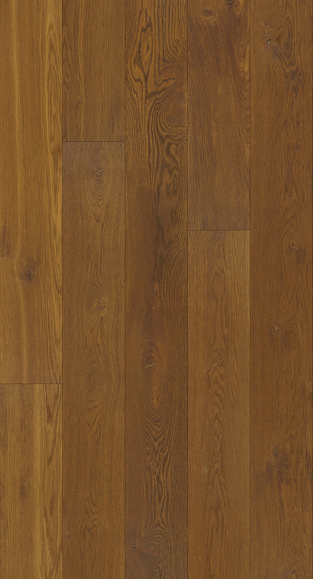 cabbani-cda-vermeer-hr_1742814364