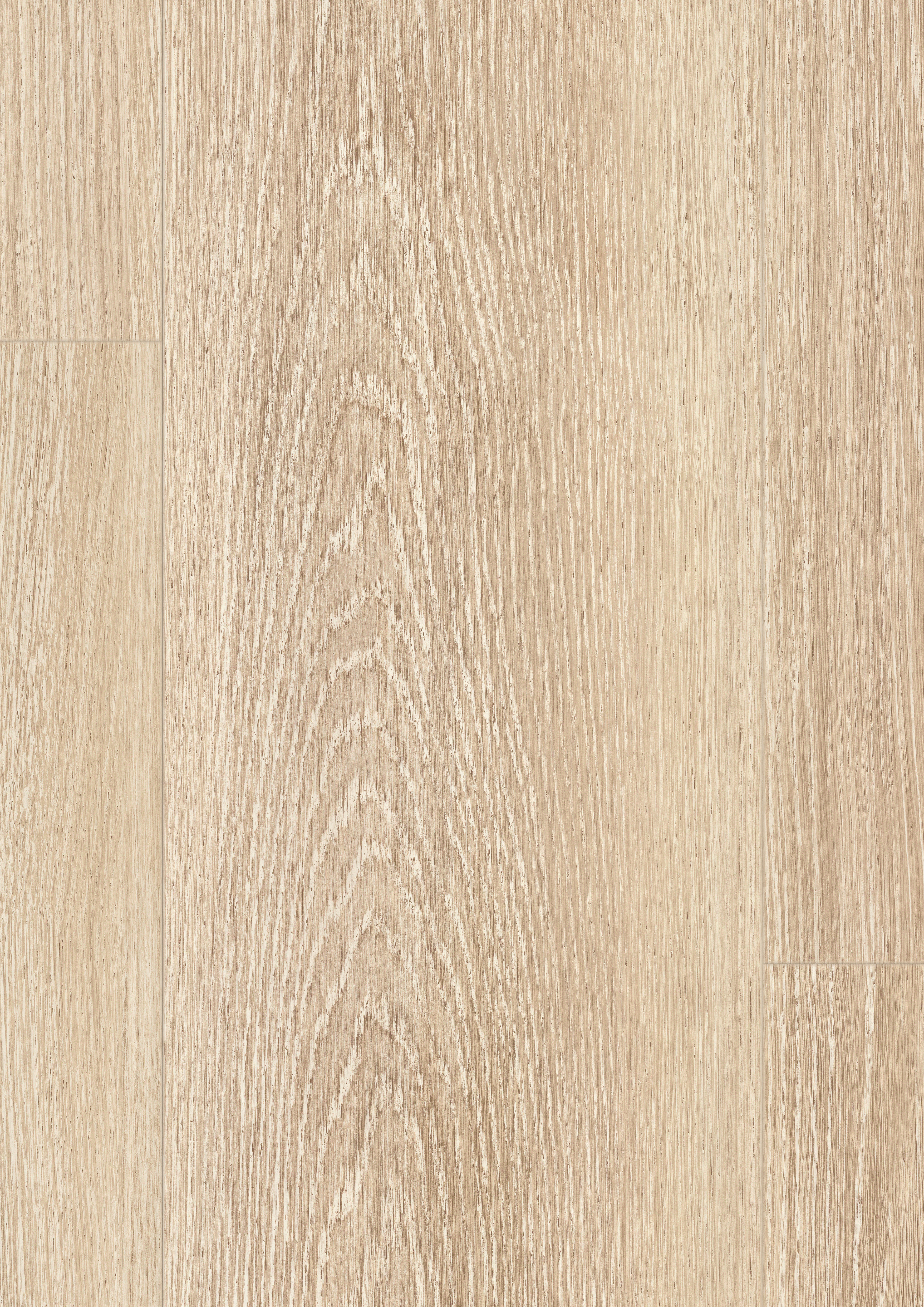 EDF196_STD8_classic_wv4_detail_10DE_flo