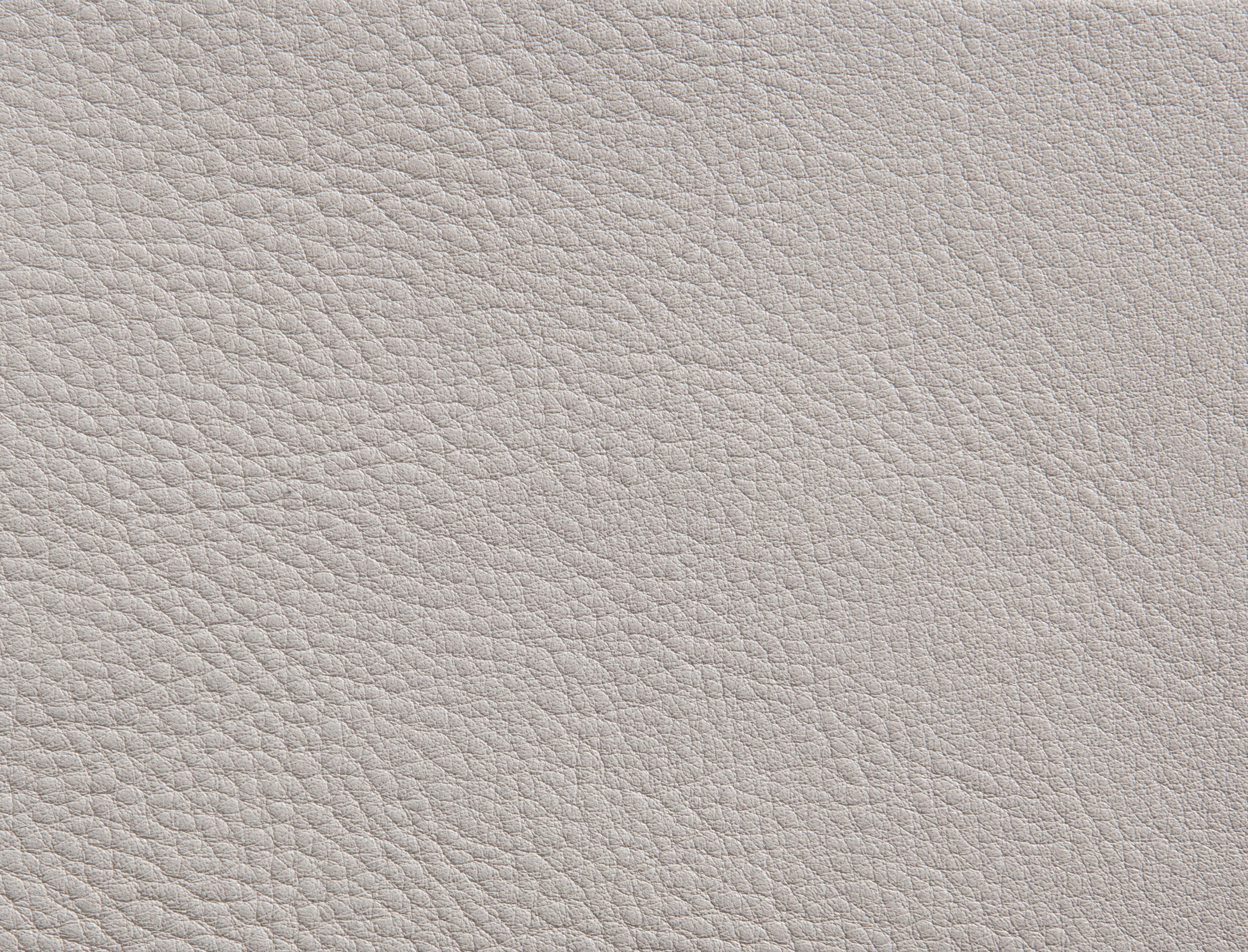 ElmorusticalVIII_12114