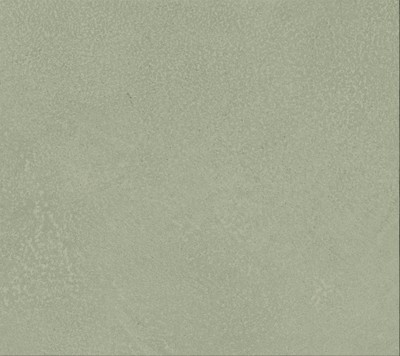 AtlasConcorde_BoostExpression_Macro_Olive_Wall_Matt