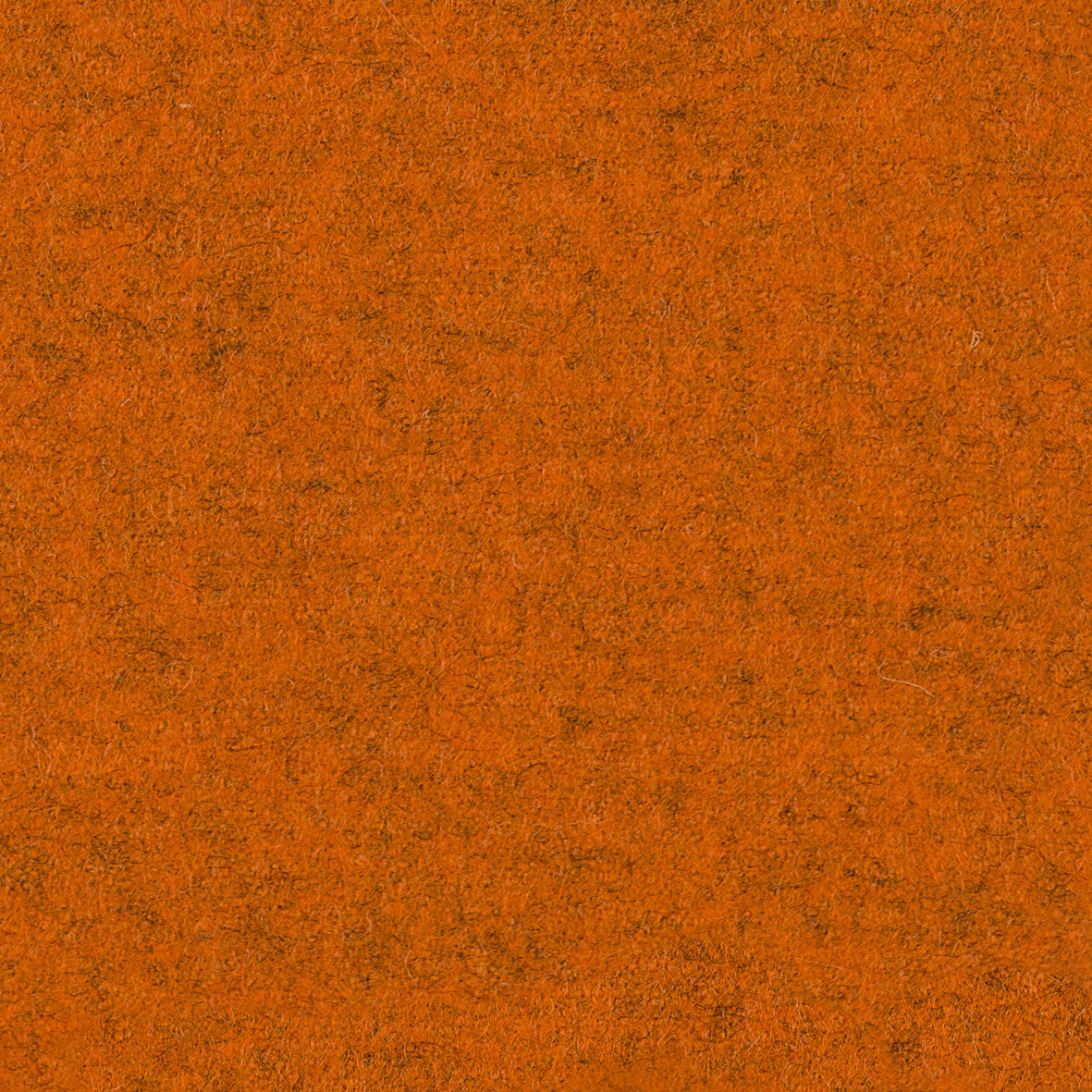 focus_melange_screen_63412