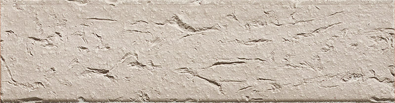 TCN_COLISEE_116_Etain