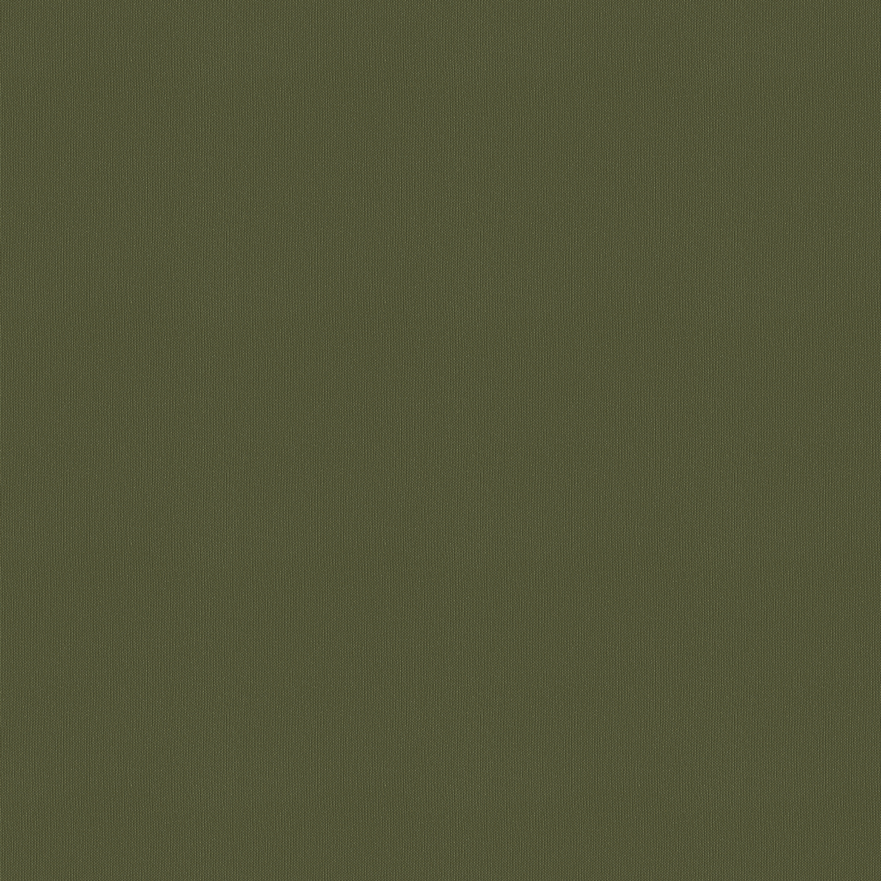 Thumbnail - Basil - 30,00cm x 30,00cm-jpg