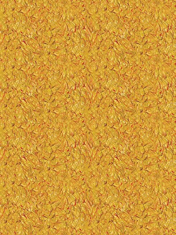 5748 derby yellowgiulio iacchetti