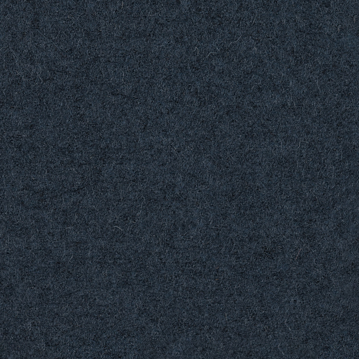 focus_melange_screen_66411