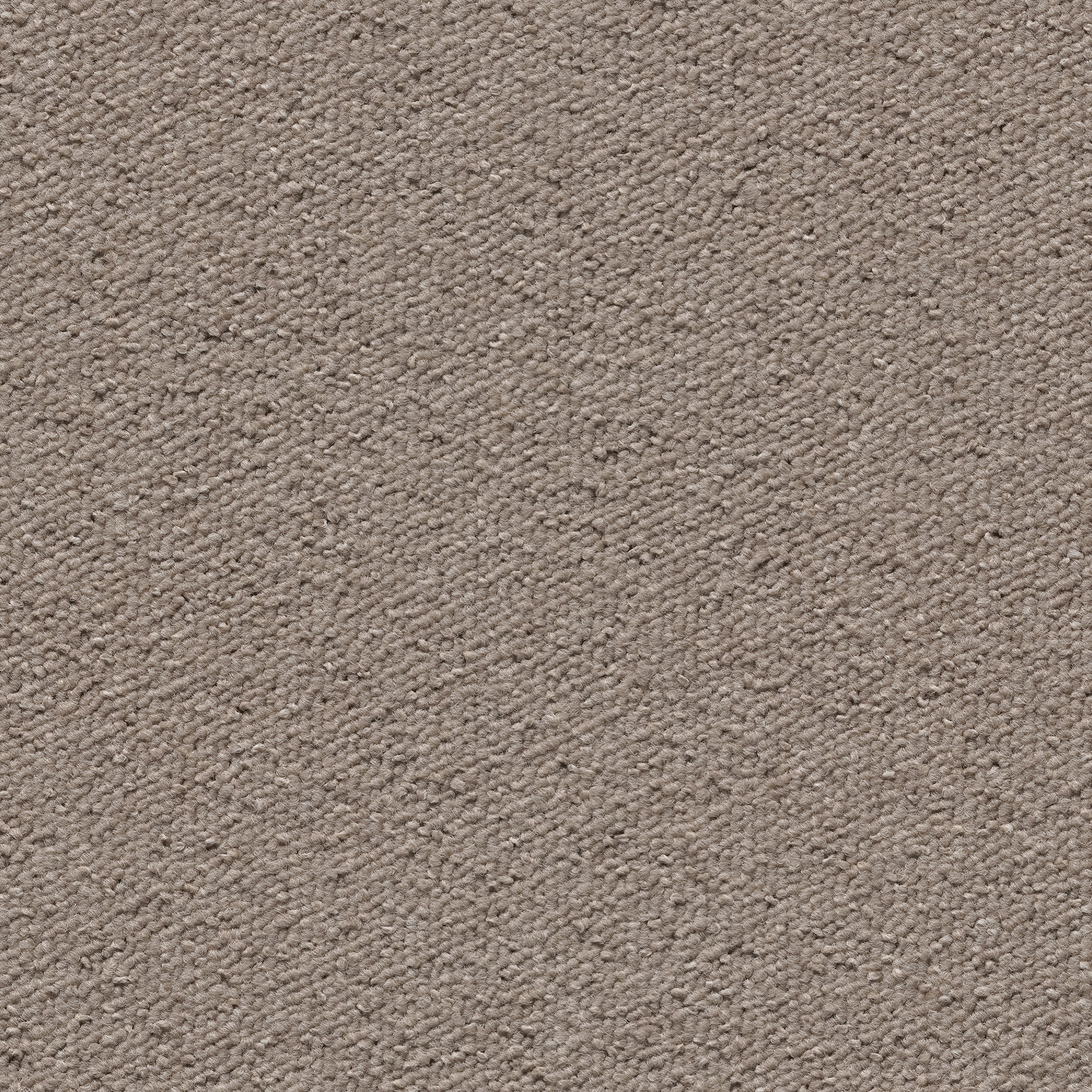 092324048 - Beige
