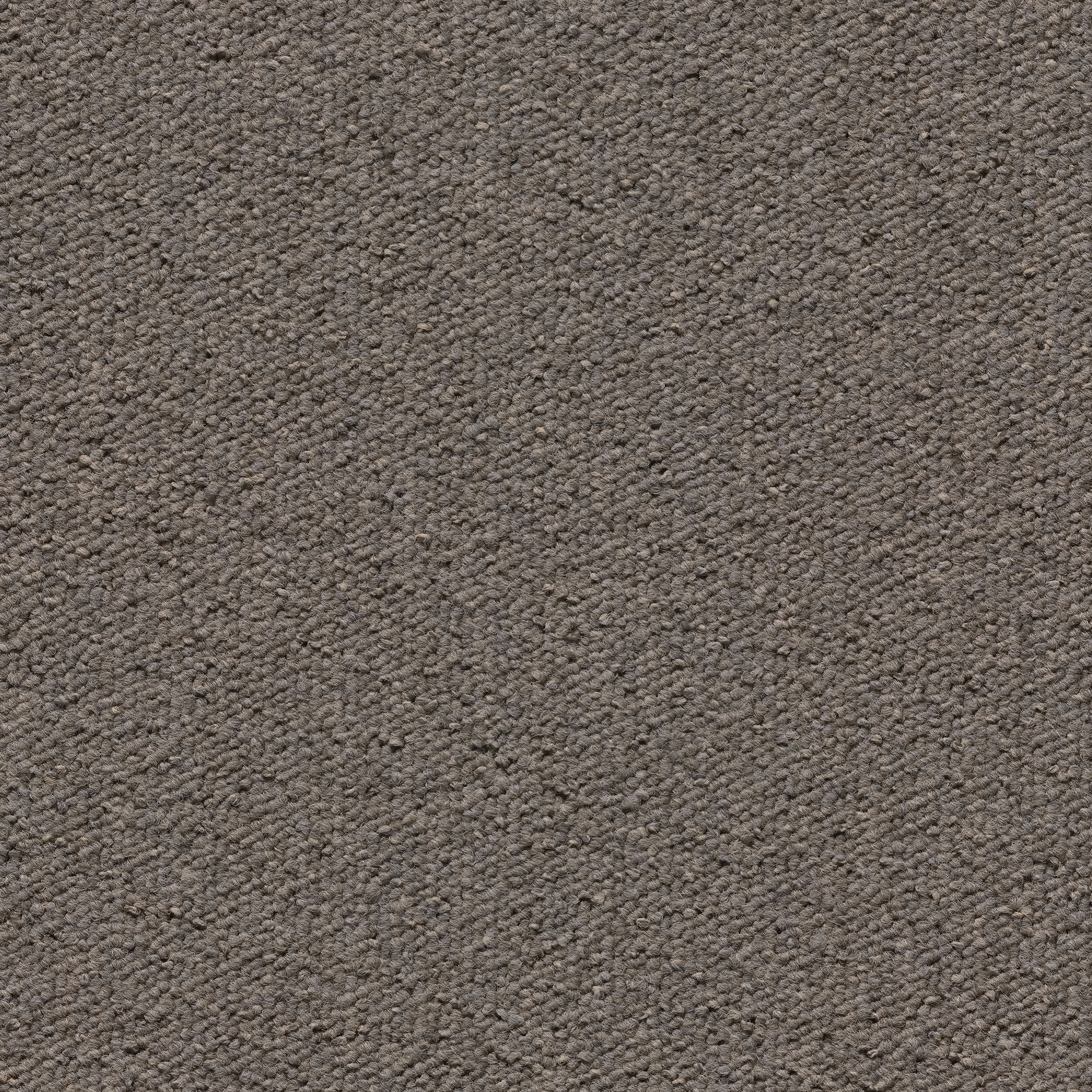 092326048 - Dark Beige